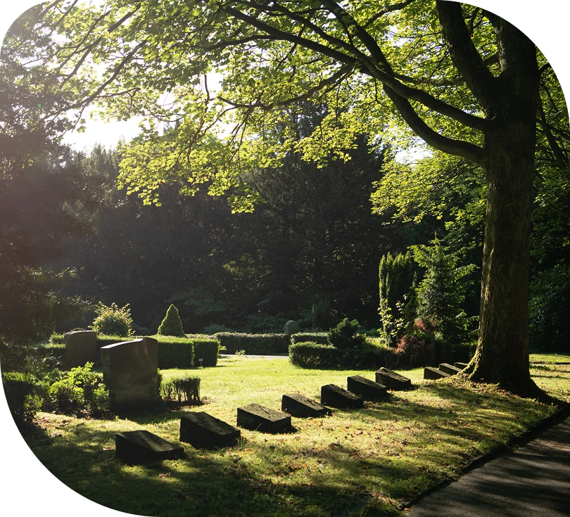 Friedhof