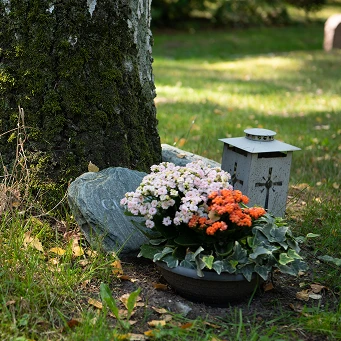 Naturbestattung