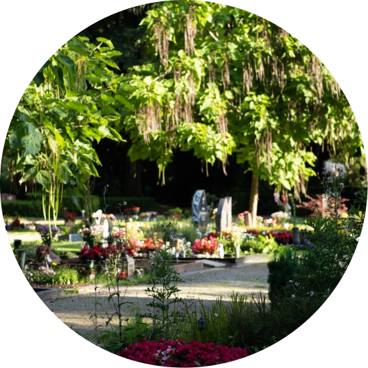 Bild vom Friedhof